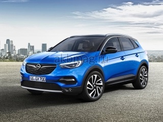 Opel Grandland X I 2017, 2018, 2019, 2020, 2021 годов выпуска